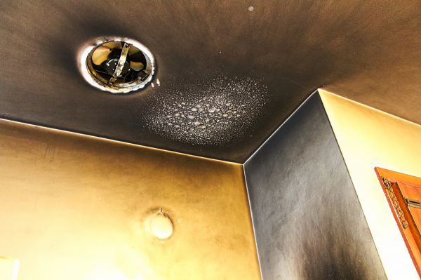 Cost of Smoke Damage Remediation in Austin